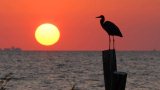 places-fairhope-away-at-the-bay-