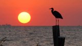 places-fairhope-away-at-the-bay- places-fairhope-away-at-the-bay-